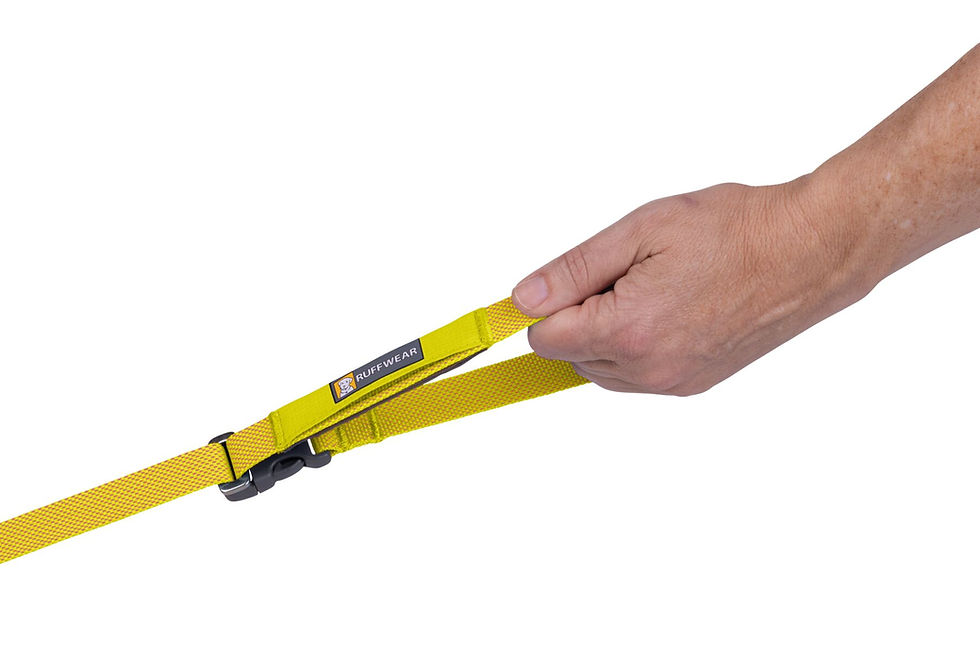 Thumbnail: Flagline™ Dog Lead in Lichen Green