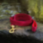 Dog Lead in Red