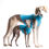 Thumbnail: Sighthound Cotton Vest in Barrier Reef