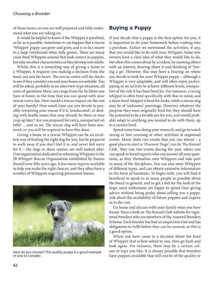 Thumbnail: Whippets: A Practical Guide for Owners and Breeders