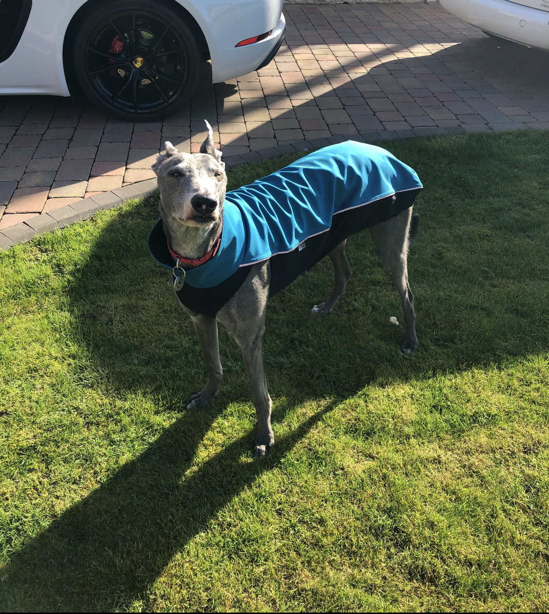 Greyhound Soft Shell Jacket in Dark Turquoise