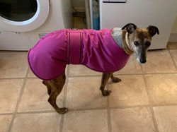 Pink Lurcher Coat UK Pointy Faces 
