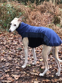 Pointy Faces Whippet Jumper Blue 