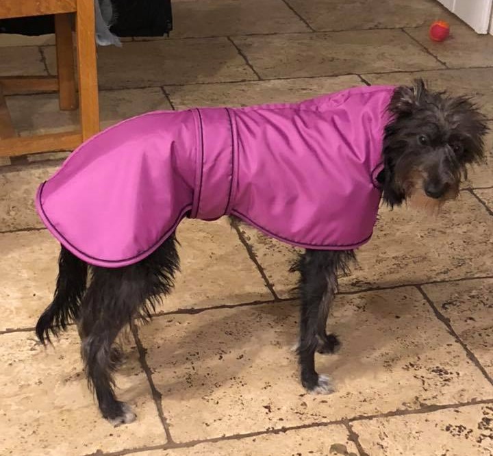 Winter Coats for Lurchers