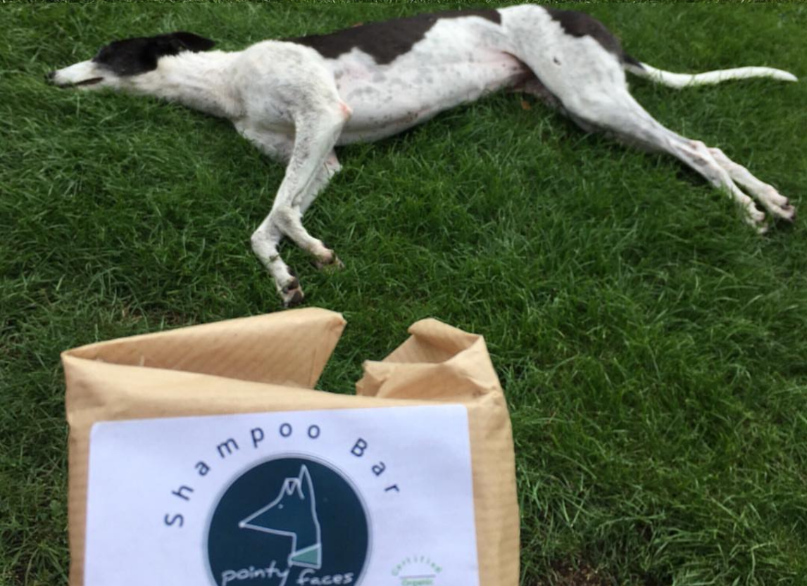 Organic dog shampoo by Pointy Faces