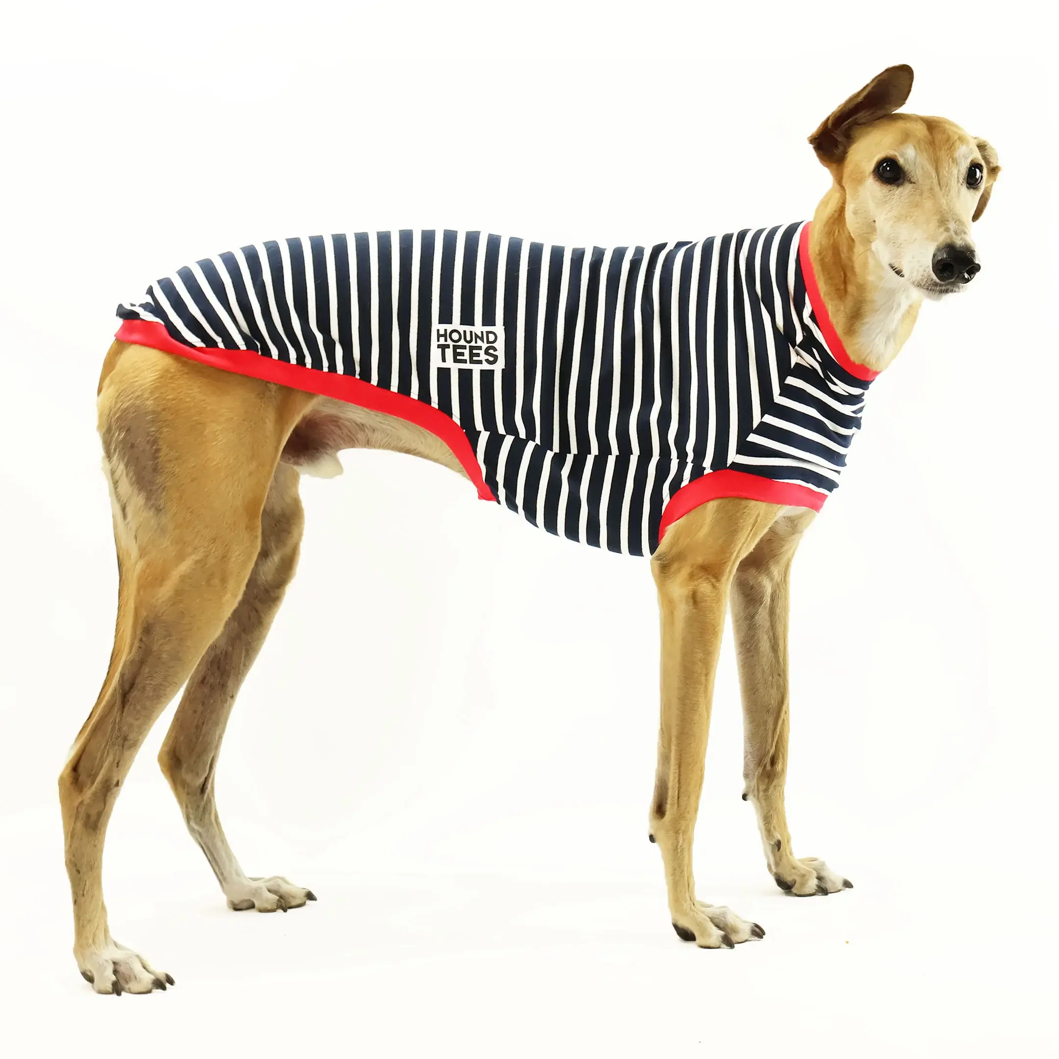 Greyhound Classic Striped Jumper