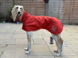 Saluki Raincoat