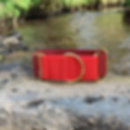 Martingale Collar Whippet Greyhound Lurcher in Red