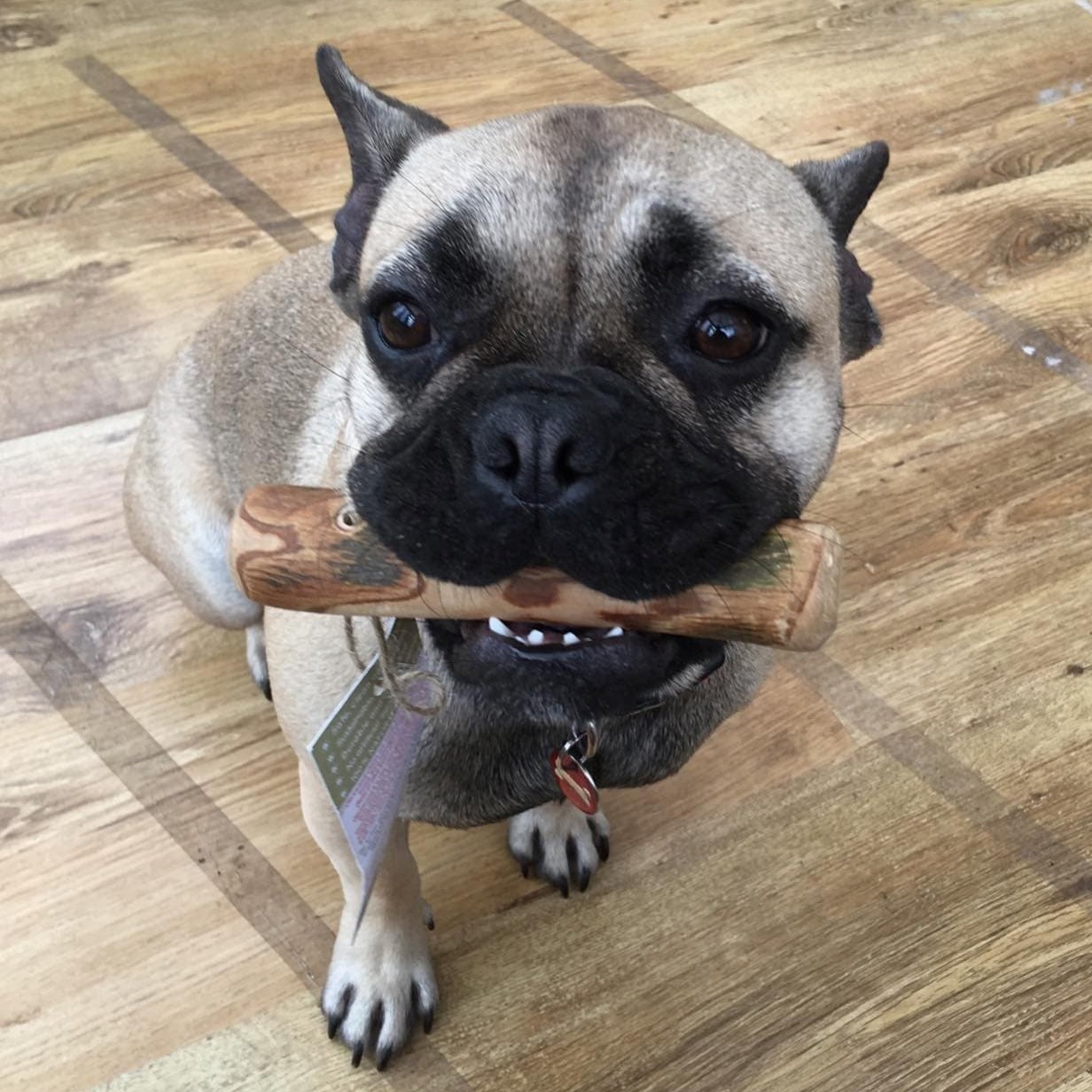 Pointy Faces Olivewood natural dog chew