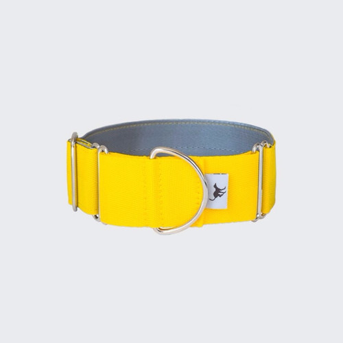 Martingale Collar Yellow Whippet Lurcher Greyhound Collars UK