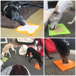 Pointy Faces Greyhound Lickimat