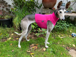 Sighthound Cotton Vest