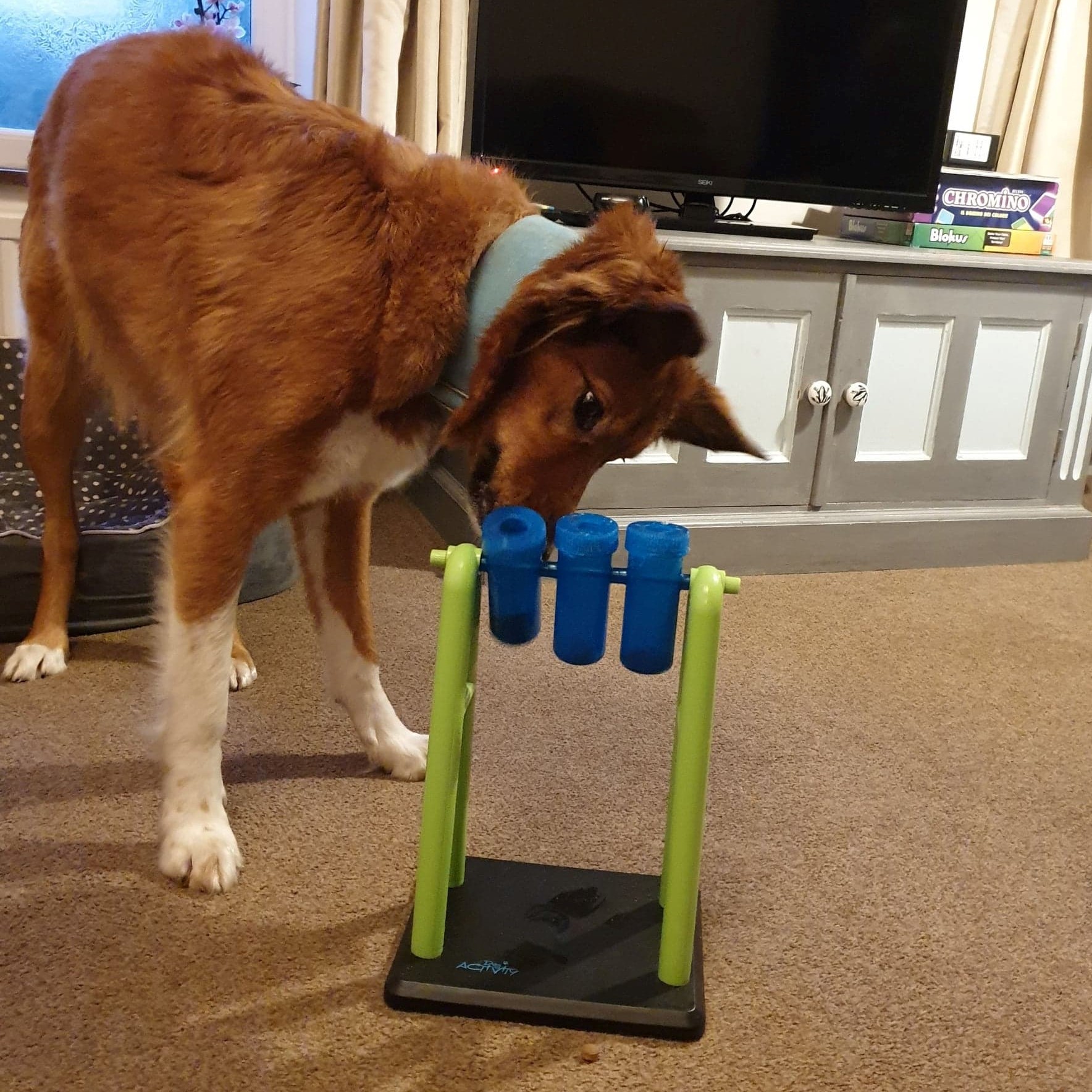Dog Enrichment Toy UK
