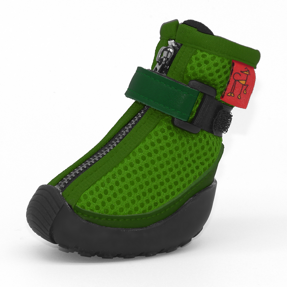 Greyhound Whippet Italian Greyhound Boots Hunnyboots Pointy Faces