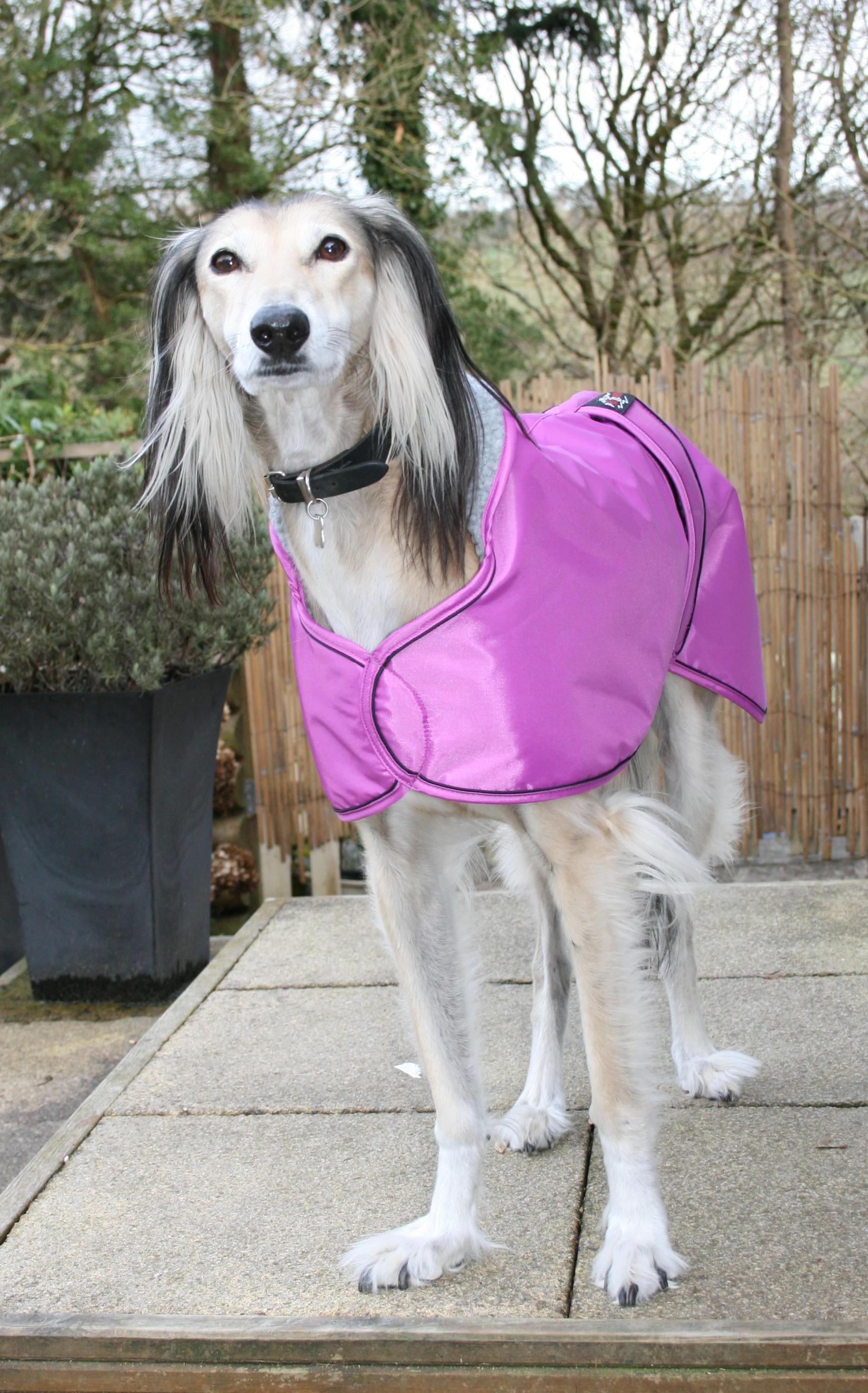 Saluki Lurcher Winter Waterproof Coat