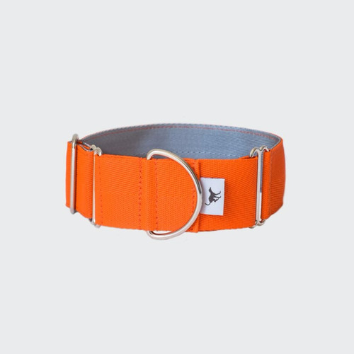 Martingale Collar Orange Whippet Lurcher Greyhound Collars UK