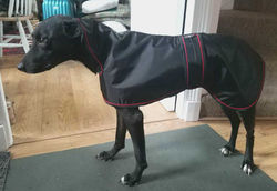 Lurcher Raincoat in Black