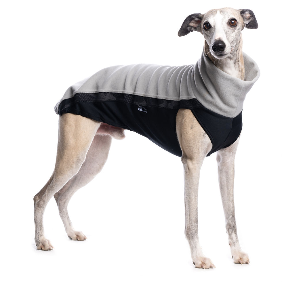 Thumbnail: Sighthound Fleece Jumper in Mirage Grey