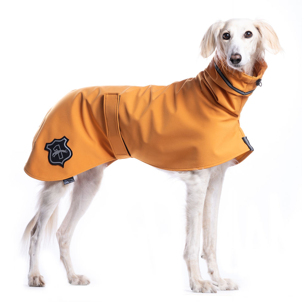 Thumbnail: Saluki Raincoat in Apricot