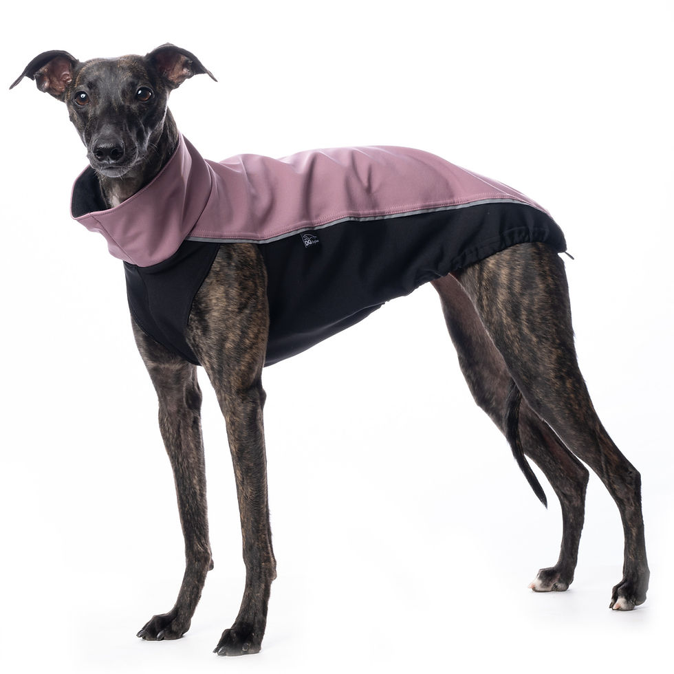 Whippet Coats Warm And Waterproof Coats For Whippets Whippet Coats Warm And Waterproof Coats For Whippets
