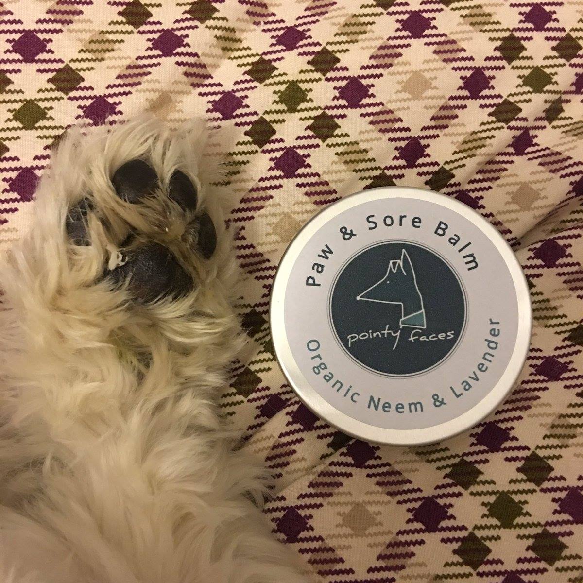 Pointy Faces Natural Dog Paw Balm