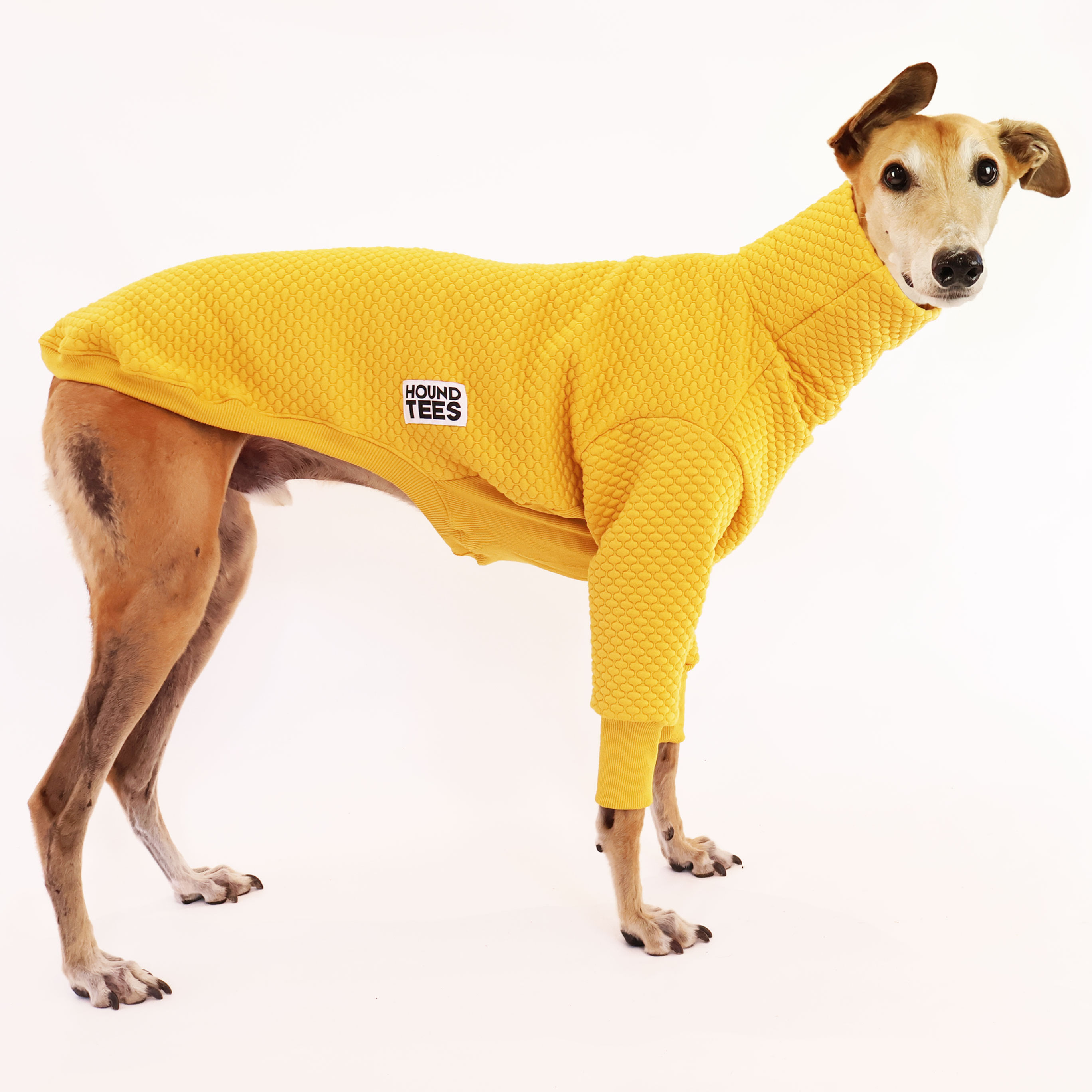Greyhound and Lurcher Quilted Sweater in Sunflower
