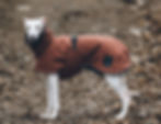 Whippet Winter Coats
