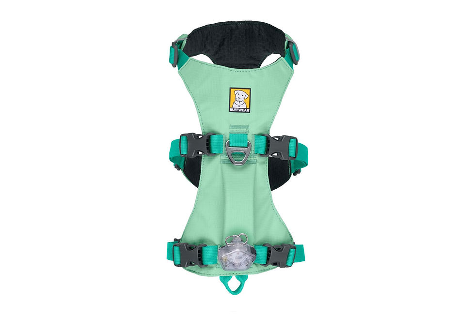 Thumbnail: Ruffwear Flagline Dog Harness UK