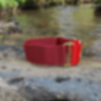 Martingale Sighthounds Sighthound in Red