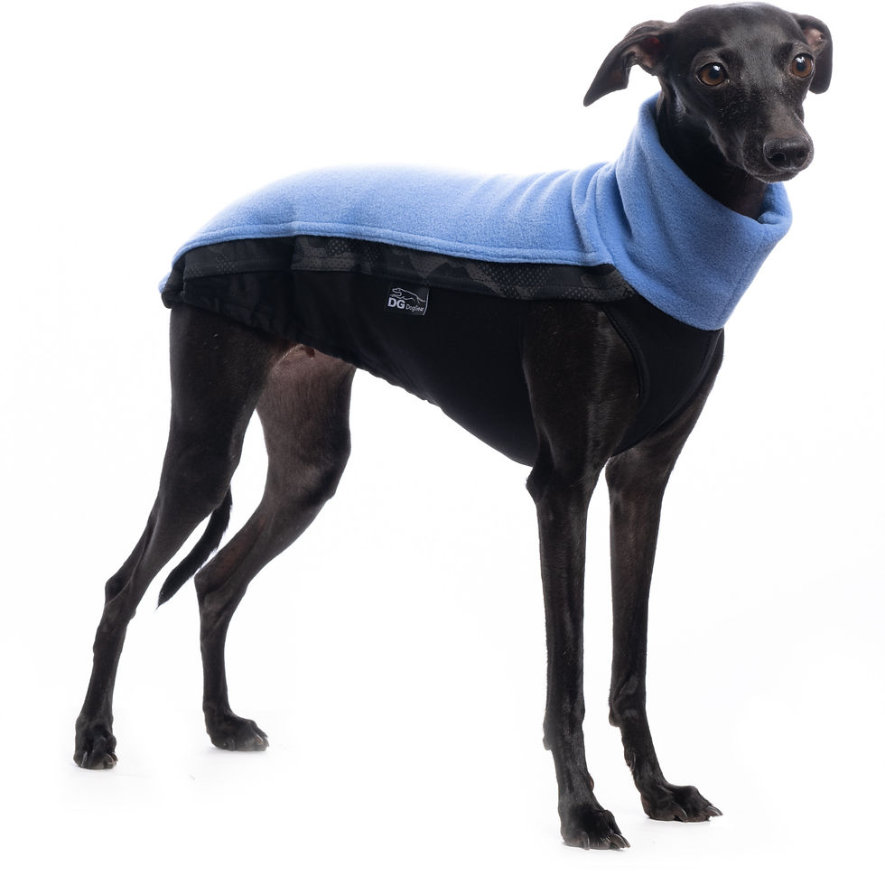 Thumbnail: Whippet Fleece Jumper in Blue
