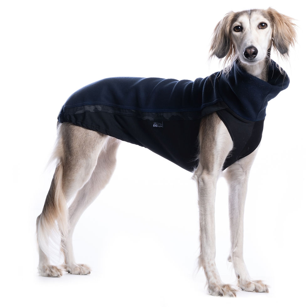 Thumbnail: Sighthound Fleece Jumper Blue