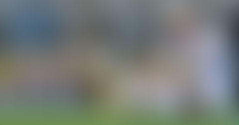 Germano Martiniano: superestimei os adversários do Corinthians