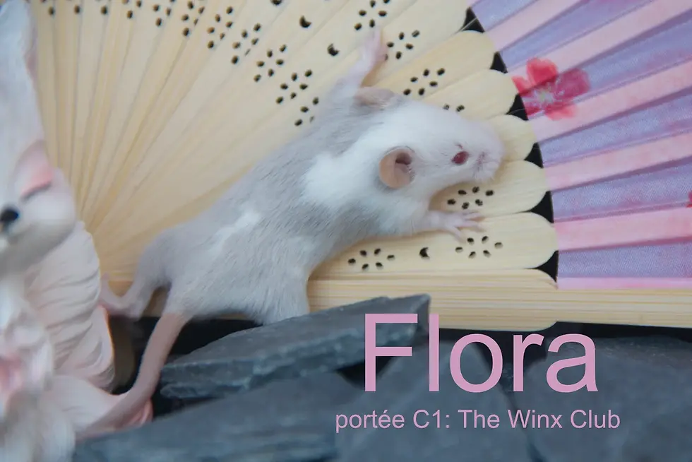 Flora