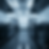 Gemini_Generated_Image_83s2d283s2d283s2.png