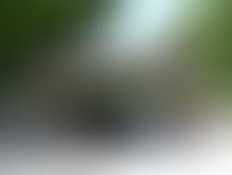 FM, l’evoluzione della specie