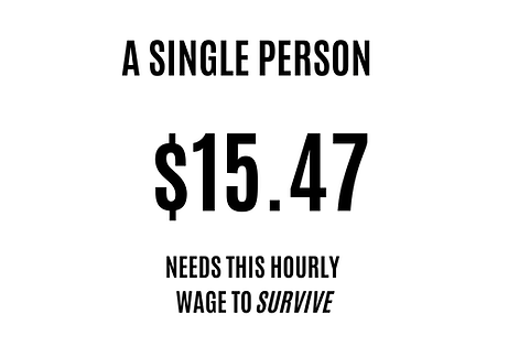 Single Person Wage.png