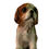 Thumbnail: Beagle hondje van Royal keramiek 13,5 cm 