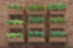 ree