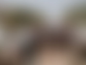 Literatura, poesia e filosofia deram o tom do último sábado na 24ª FIL