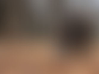 Cataluña, desprotegida ante la peste porcina africana