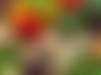 Hälsosam varierad växtbaserad mat