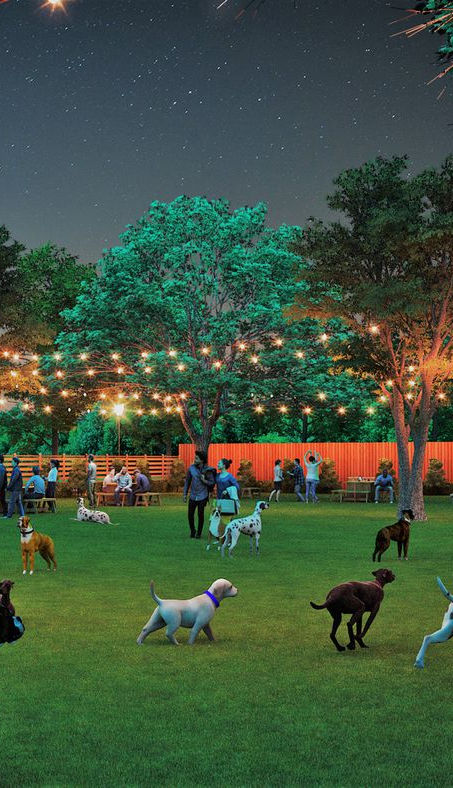 Dog Park.jpg