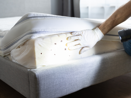 Comment se débarrasser des punaises de lit