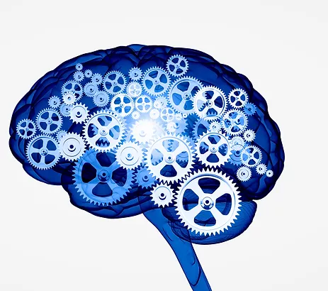 image engrenage cerveau.webp