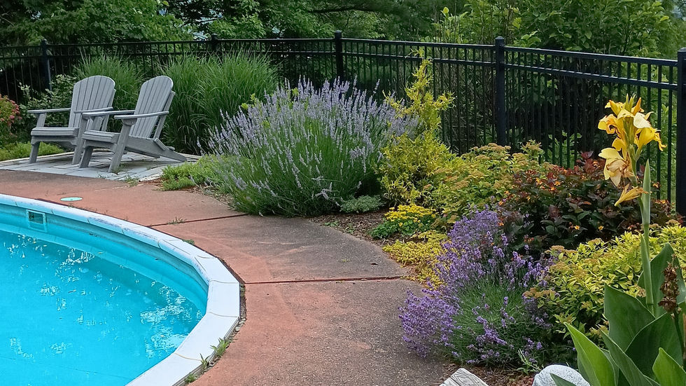 IMG_20240627_131124150