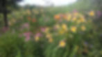 20170717_174942.jpg