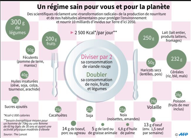 un régime saint pour vous et la planète Bocerno