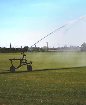 Sod Maintenance