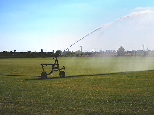 Sod Maintenance