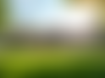 How to Open a Child and Adolescent Group Home: A Step-by-Step Guide